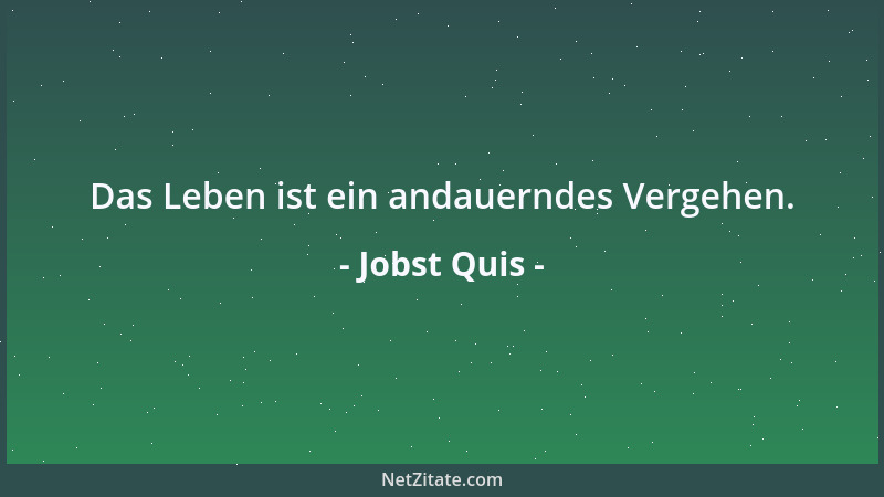 Jobst Quis - Das Leben ist ein andauerndes Vergehen....