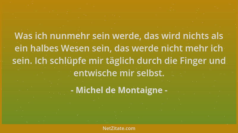 Michel de Montaigne - Was ich nunmehr sein werde, das wird nichts als ein halbes Wesen sein, das werde nicht mehr ich sein....
