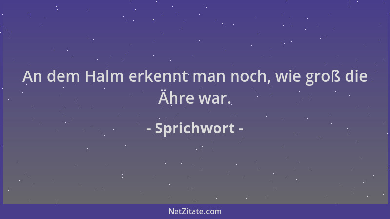 Sprichwort - An dem Halm erkennt man noch, wie groß die Ähre war....