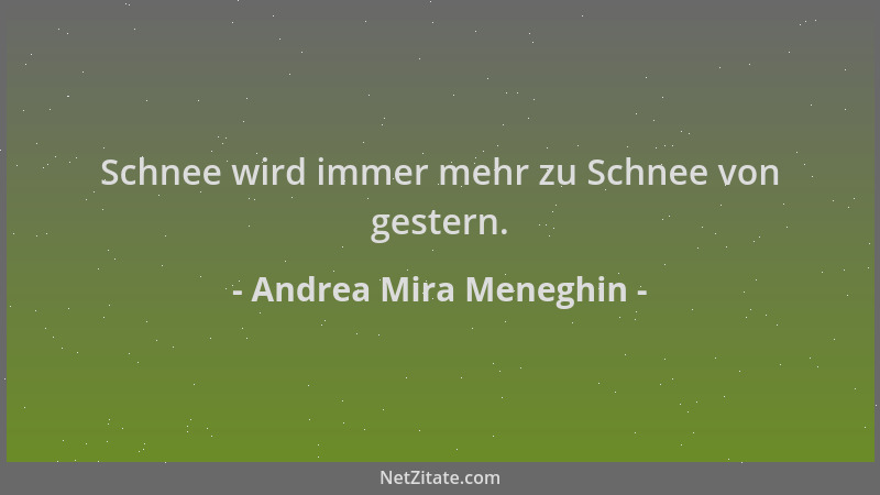 Andrea Mira Meneghin - Schnee wird immer mehr zu Schnee von gestern....
