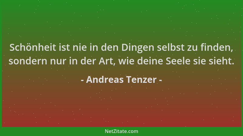 Andreas Tenzer - Schönheit ist nie in den Dingen selbst zu finden, sondern nur in der Art, wie deine Seele sie sieht....