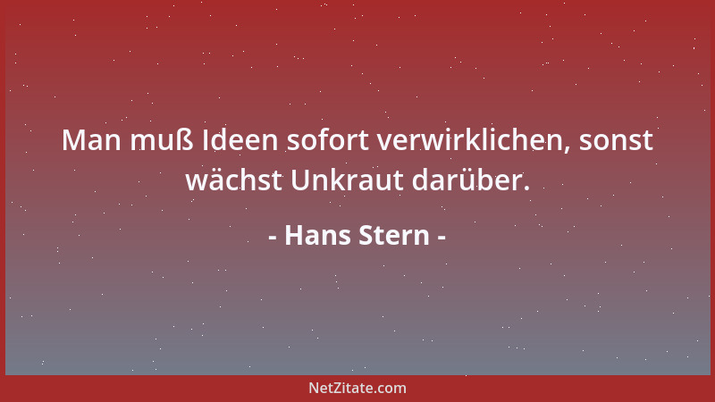 Hans Stern - Man muß Ideen sofort verwirklichen, sonst wächst Unkraut darüber....