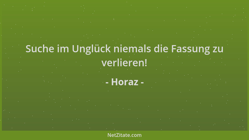 Horaz - Suche im Unglück niemals die Fassung zu verlieren!...