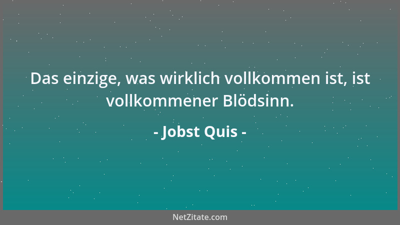 Jobst Quis - Das einzige, was wirklich vollkommen ist, ist vollkommener Blödsinn....