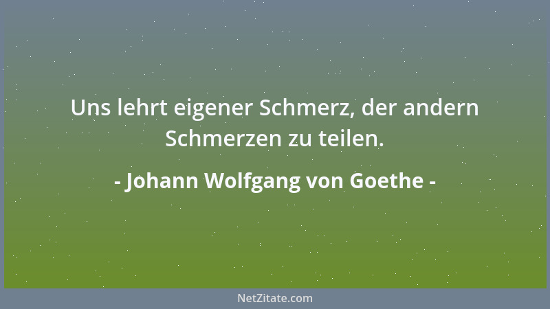 Johann Wolfgang von Goethe - Geschichte schreiben ist immer eine bedenkliche Sache. Denn bei dem redlichen Vorsatz kommt ma...