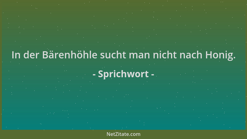 Sprichwort - In der Bärenhöhle sucht man nicht nach Honig....