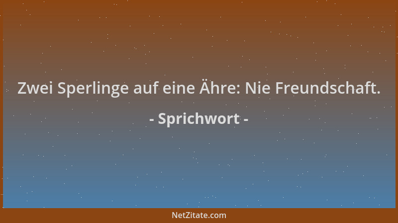 Sprichwort - Zwei Sperlinge auf eine Ähre: Nie Freundschaft....