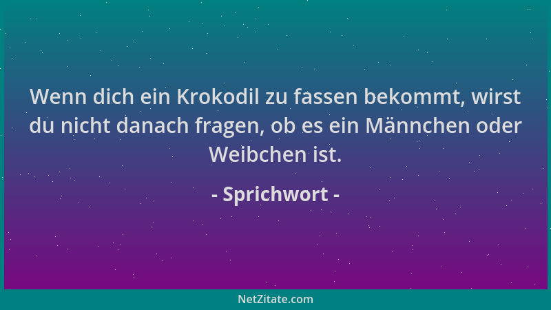 Sprichwort - Wenn dich ein Krokodil zu fassen bekommt, wirst du nicht danach fragen, ob es ein Männchen oder Weibchen ist....