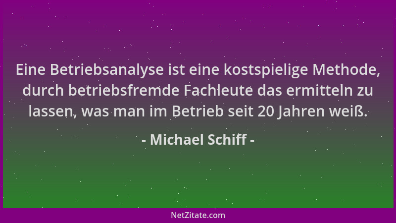 Michael Schiff - Eine Betriebsanalyse ist eine kostspielige Methode, durch betriebsfremde Fachleute das ermitteln zu lassen...