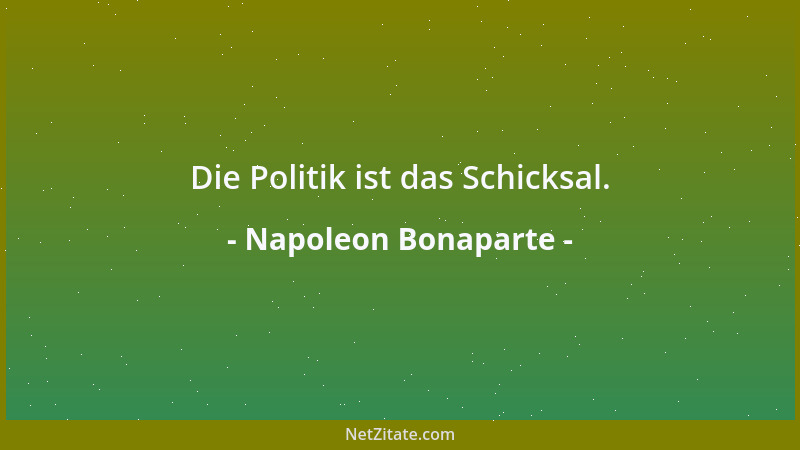 Napoleon Bonaparte - Die Politik ist das Schicksal....