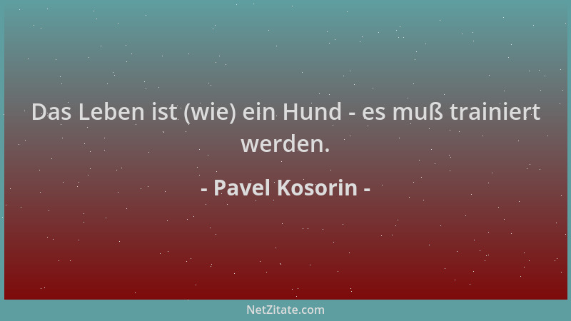 Pavel Kosorin - Das Leben ist (wie) ein Hund - es muß trainiert werden....