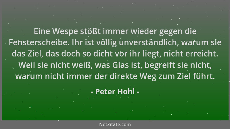 Peter Hohl - Eine Wespe stößt immer wieder gegen die Fensterscheibe. Ihr ist völlig unverständlich, warum sie das Ziel, das...