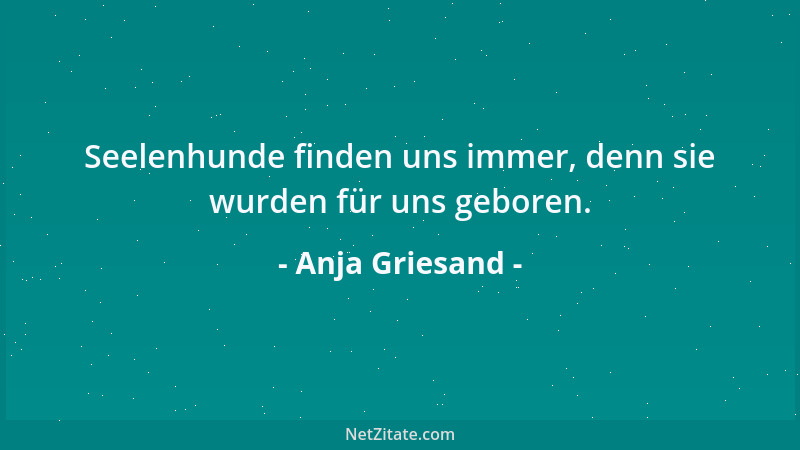 Anja Griesand - Seelenhunde finden uns immer, denn sie wurden für uns geboren....