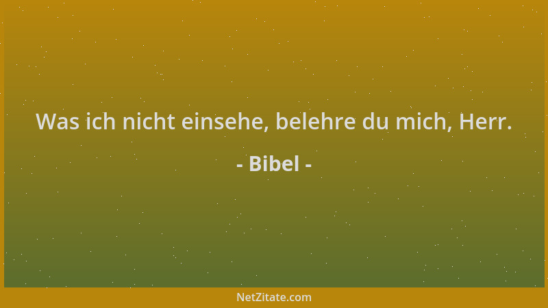 Bibel - Was ich nicht einsehe, belehre du mich, Herr....