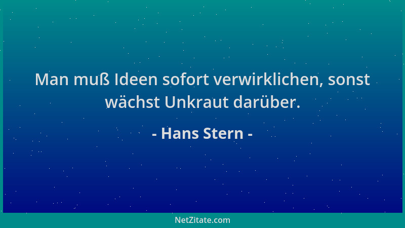 Hans Stern - Man muß Ideen sofort verwirklichen, sonst wächst Unkraut darüber....