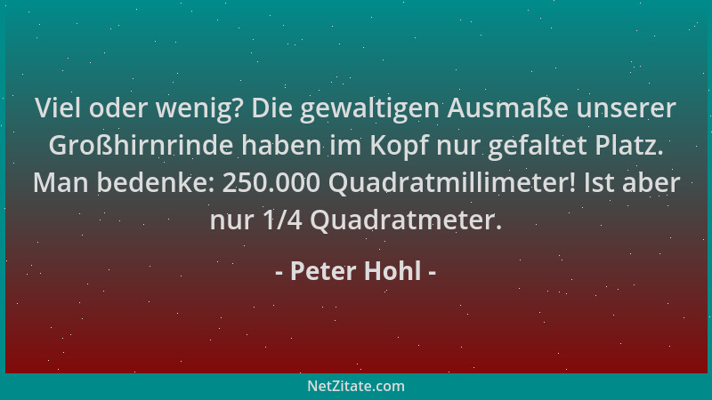 Peter Hohl - Viel oder wenig? Die gewaltigen Ausmaße unserer Großhirnrinde haben im Kopf nur gefaltet Platz. Man bedenke: 2...