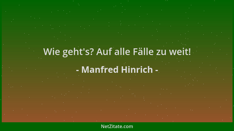 Manfred Hinrich - Wie geht 's? Auf alle Fälle zu weit!...
