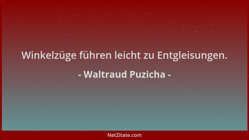 Waltraud Puzicha - Winkelzüge führen leicht zu Entgleisungen....