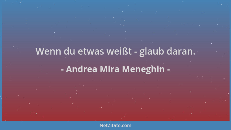 Andrea Mira Meneghin - Wenn du etwas weißt - glaub daran....