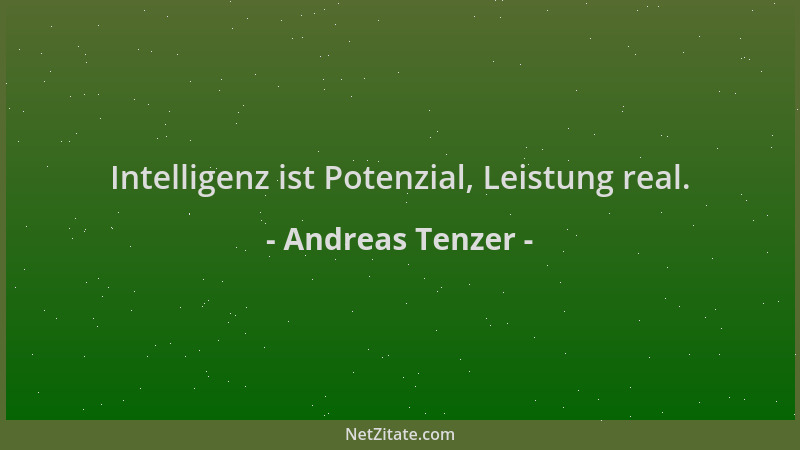 Andreas Tenzer - Intelligenz ist Potenzial, Leistung real....