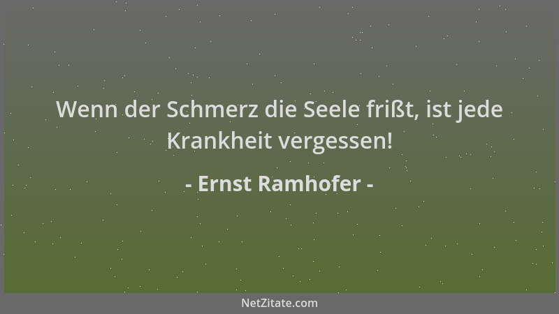 Ernst Ramhofer - Wenn der Schmerz die Seele frißt, ist jede Krankheit vergessen!...