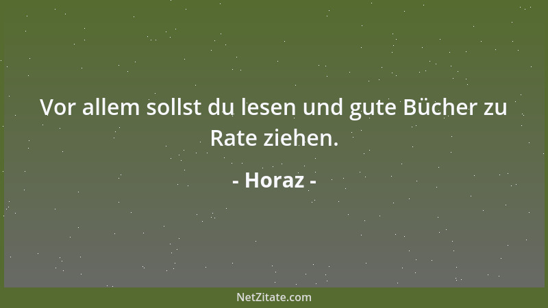 Horaz - Vor allem sollst du lesen und gute Bücher zu Rate ziehen....