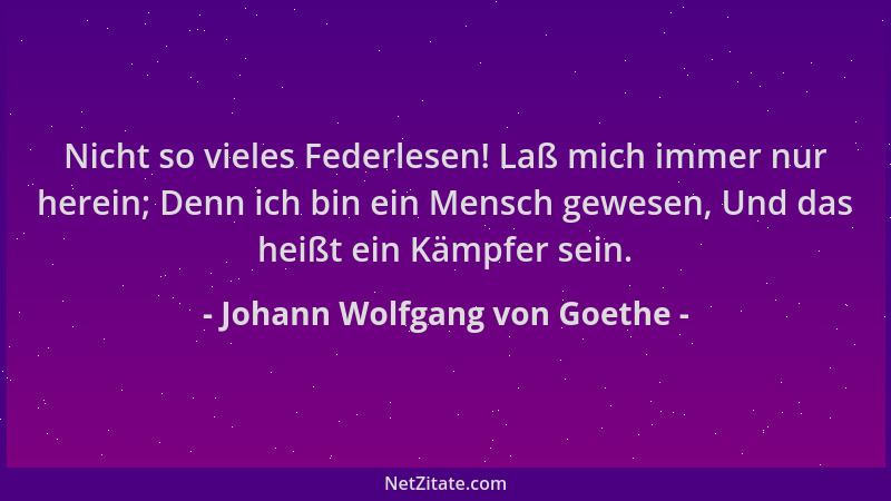 Johann Wolfgang von Goethe - Nicht so vieles Federlesen! Laß mich immer nur herein; Denn ich bin ein Mensch gewesen, Und da...