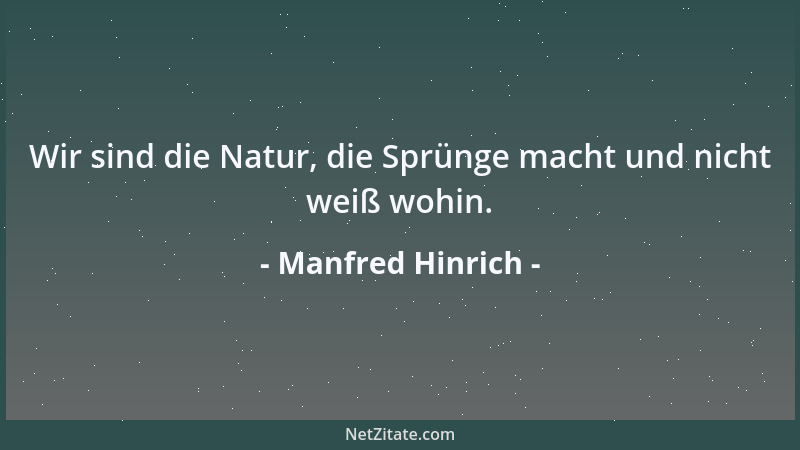 Manfred Hinrich - Wir sind die Natur, die Sprünge macht und nicht weiß wohin....
