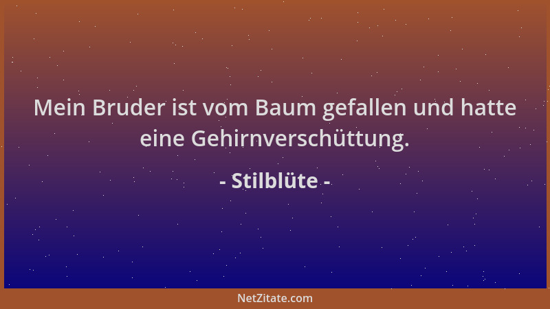 Stilblüte - Mein Bruder ist vom Baum gefallen und hatte eine Gehirnverschüttung....