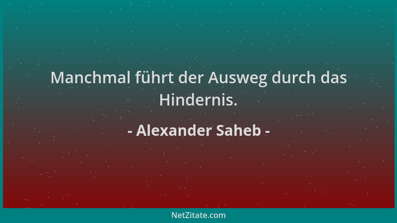 Alexander Saheb - Manchmal führt der Ausweg durch das Hindernis....