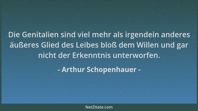 Arthur Schopenhauer - Die Genitalien sind viel mehr als irgendein anderes äußeres Glied des Leibes bloß dem Willen und gar...
