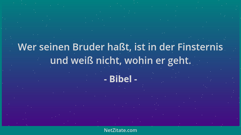 Bibel - Wer seinen Bruder haßt, ist in der Finsternis und weiß nicht, wohin er geht....
