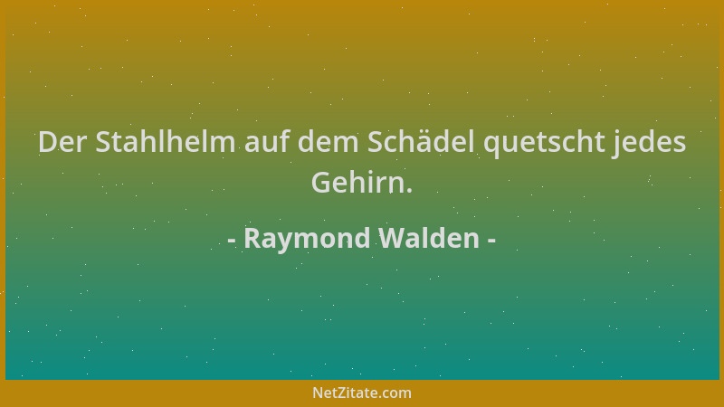 Raymond Walden - Der Stahlhelm auf dem Schädel quetscht jedes Gehirn....