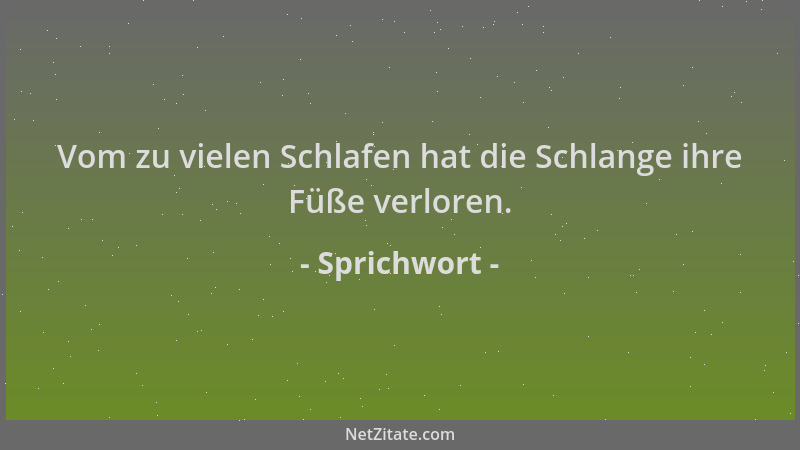 Sprichwort - Vom zu vielen Schlafen hat die Schlange ihre Füße verloren....