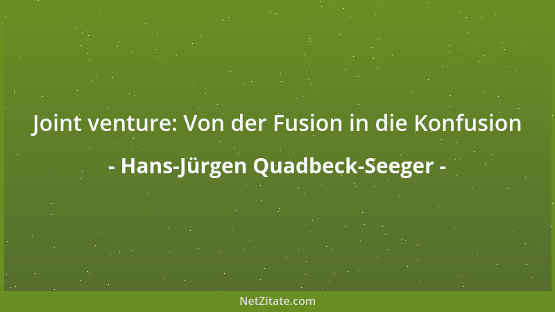 Hans-Jürgen Quadbeck-Seeger - Joint venture: Von der Fusion in die Konfusion...
