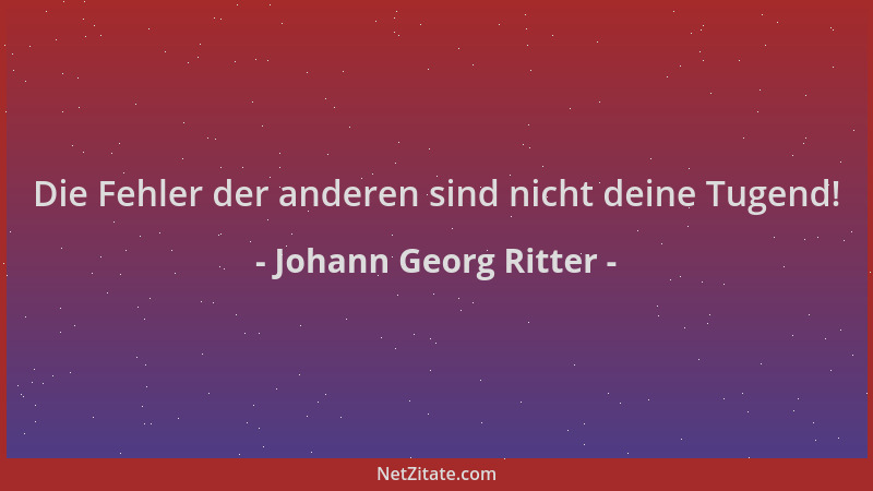 Johann Georg Ritter - Die Fehler der anderen sind nicht deine Tugend!...