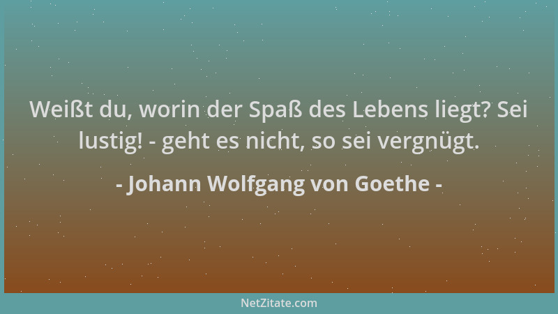 Johann Wolfgang von Goethe - Weißt du, worin der Spaß des Lebens liegt? Sei lustig! - geht es nicht, so sei vergnügt....