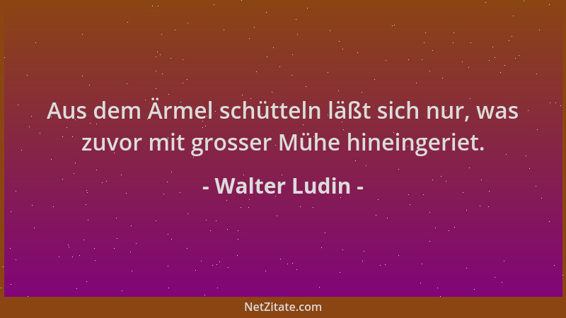 Walter Ludin - Aus dem Ärmel schütteln läßt sich nur, was zuvor mit grosser Mühe hineingeriet....