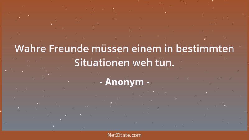 Anonym - Wahre Freunde müssen einem in bestimmten Situationen weh tun....
