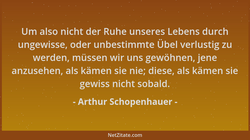 Arthur Schopenhauer - Um also nicht der Ruhe unseres Lebens durch ungewisse, oder unbestimmte Übel verlustig zu werden, müs...