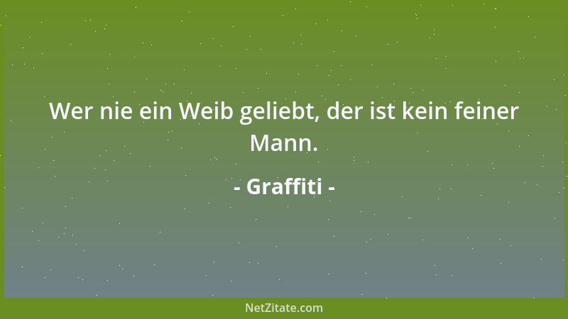 Graffiti - Wer nie ein Weib geliebt, der ist kein feiner Mann....
