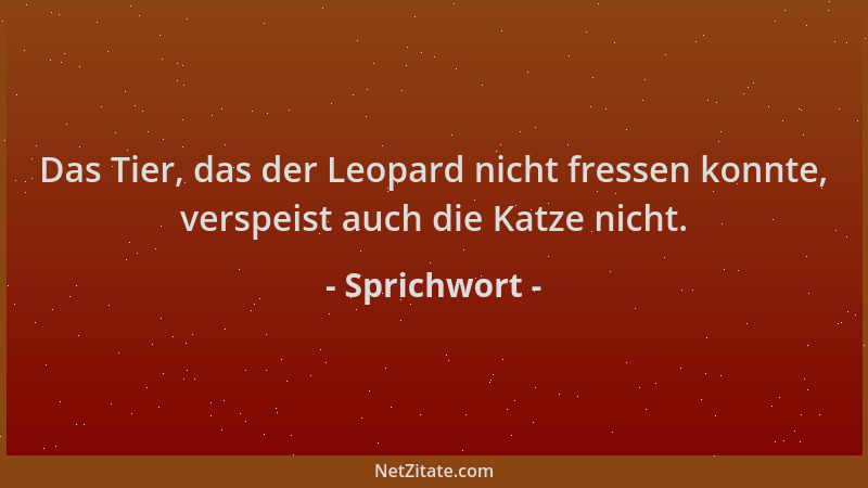 Sprichwort - Das Tier, das der Leopard nicht fressen konnte, verspeist auch die Katze nicht....