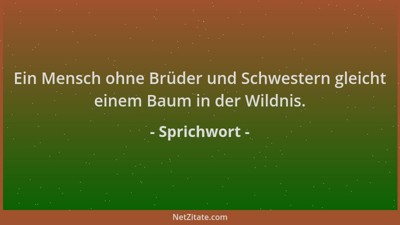 Sprichwort - Ein Mensch ohne Brüder und Schwestern gleicht einem Baum in der Wildnis....