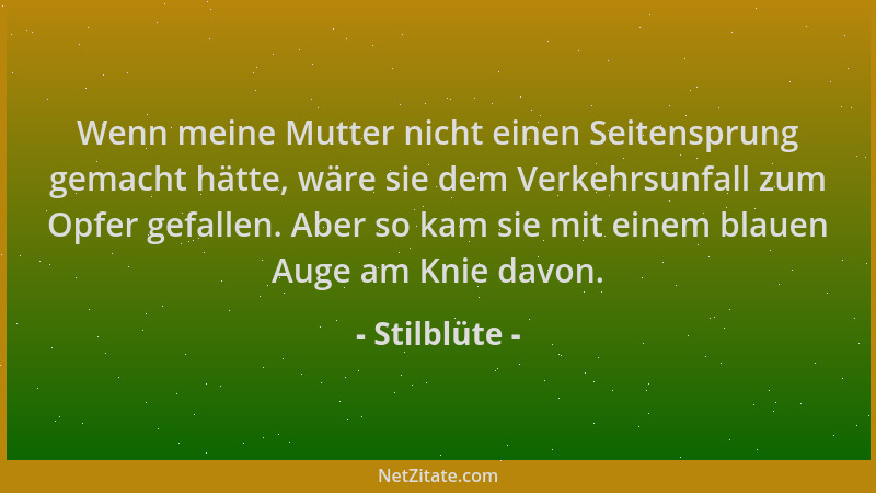 Stilblüte - Wenn meine Mutter nicht einen Seitensprung gemacht hätte, wäre sie dem Verkehrsunfall zum Opfer gefallen. Aber...