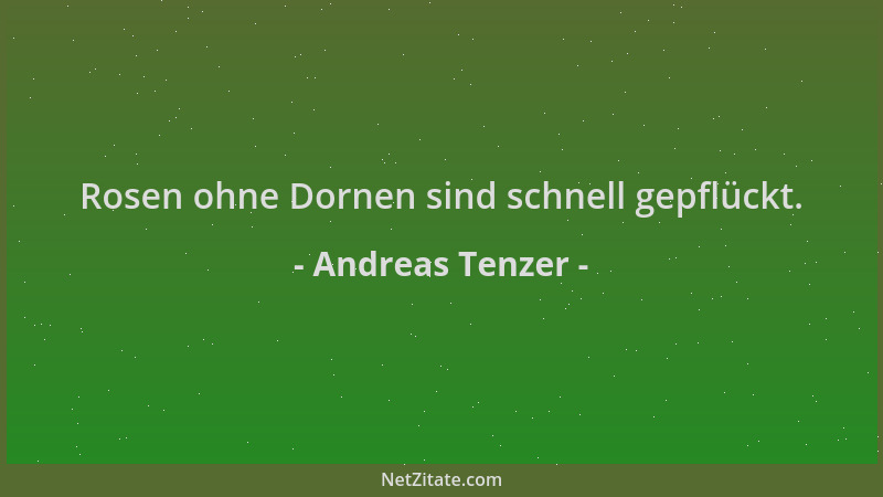 Andreas Tenzer - Rosen ohne Dornen sind schnell gepflückt....