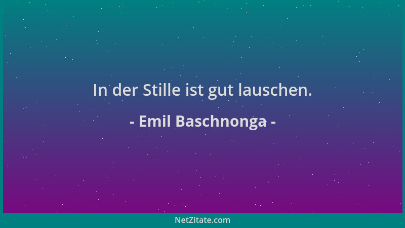 Emil Baschnonga - In der Stille ist gut lauschen....