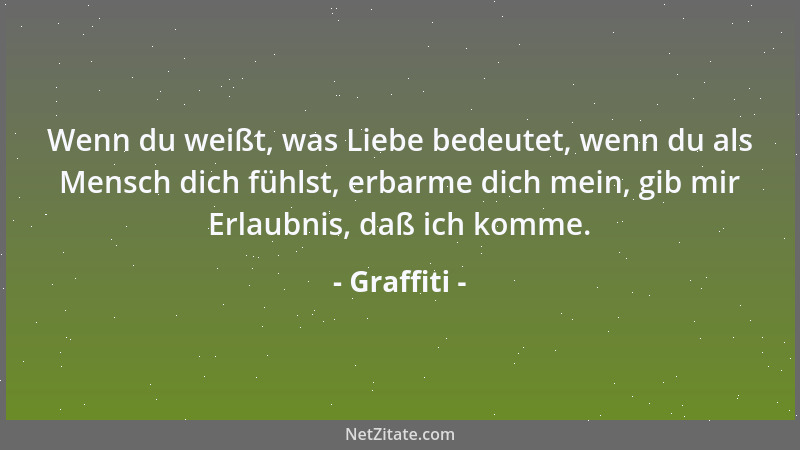 Graffiti - Wenn du weißt, was Liebe bedeutet, wenn du als Mensch dich fühlst, erbarme dich mein, gib mir Erlaubnis, daß ich...