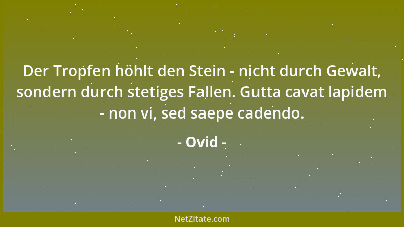 Ovid - Der Tropfen höhlt den Stein - nicht durch Gewalt, sondern durch stetiges Fallen. Gutta cavat lapidem - non vi, sed s...