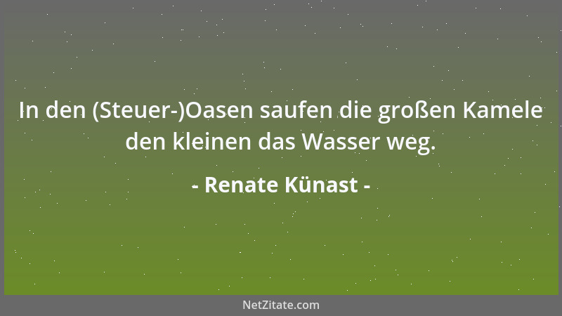 Renate Künast - In den (Steuer-)Oasen saufen die großen Kamele den kleinen das Wasser weg....