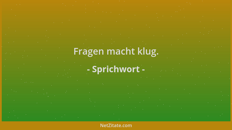 Sprichwort - Fragen macht klug....